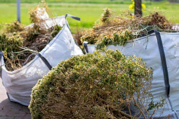 Yard Cleanup Services in Fort Lee, NJ